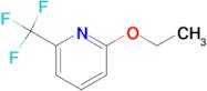 2-Ethoxy-6-(trifluoromethyl)pyridine