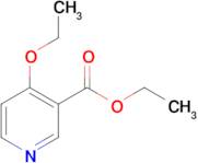 Ethyl 4-ethoxynicotinate