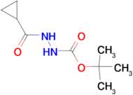 tert-Butyl 2-(cyclopropanecarbonyl)hydrazinecarboxylate