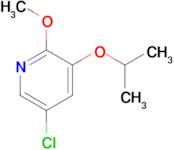 5-Chloro-3-isopropoxy-2-methoxypyridine