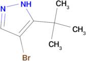 4-Bromo-3-(tert-butyl)-1H-pyrazole