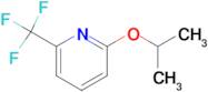 2-Isopropoxy-6-(trifluoromethyl)pyridine