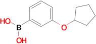 (3-(Cyclopentyloxy)phenyl)boronic acid