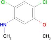 2,4-Dichloro-5-methoxy-N-methylaniline