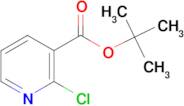 Tert-Butyl 2-chloronicotinate