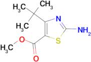 Methyl 2-amino-4-(tert-butyl)thiazole-5-carboxylate