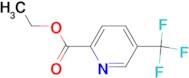 Ethyl 5-(trifluoromethyl)picolinate