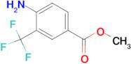 Methyl 4-amino-3-(trifluoromethyl)benzoate