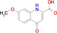 7-Methoxy-4-oxo-1,4-dihydroquinoline-2-carboxylic acid