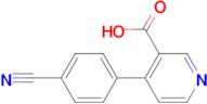 4-(4-Cyanophenyl)nicotinic acid