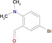 5-Bromo-2-(dimethylamino)benzaldehyde