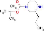 (S)-1-Boc-3-Propylpiperazine