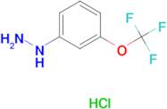 (3-(Trifluoromethoxy)phenyl)hydrazinehydrochloride