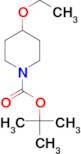 tert-Butyl 4-ethoxypiperidine-1-carboxylate
