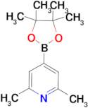 2,6-Dimethyl-4-(4,4,5,5-tetramethyl-1,3,2-dioxaborolan-2-yl)pyridine