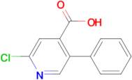 2-Chloro-5-phenylisonicotinic acid