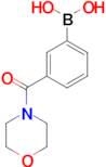 3-(Morpholine-4-carbonyl)phenylboronic acid