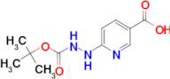 6-Boc-Hydrazynonicotinic acid