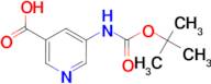 5-((tert-Butoxycarbonyl)amino)nicotinic acid