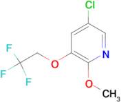 5-Chloro-2-methoxy-3-(2,2,2-trifluoroethoxy)pyridine