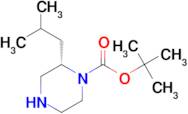 (S)-1-Boc-2-Isobutylpiperazine