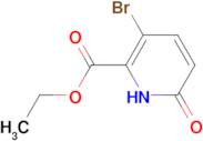 Ethyl 3-bromo-6-hydroxypicolinate