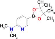 N,N-Dimethyl-5-(4,4,5,5-tetramethyl-1,3,2-dioxaborolan-2-yl)pyridin-2-amine