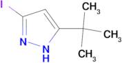 3-(tert-Butyl)-5-iodo-1H-pyrazole