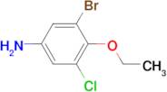 3-Bromo-5-chloro-4-ethoxyaniline