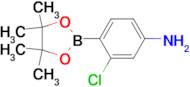 3-Chloro-4-(4,4,5,5-tetramethyl-1,3,2-dioxaborolan-2-yl)aniline