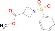 Methyl 1-(phenylsulfonyl)azetidine-3-carboxylate