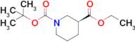 (S)-1-tert-Butyl 3-ethyl piperidine-1,3-dicarboxylate