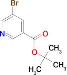 tert-Butyl 5-bromonicotinate