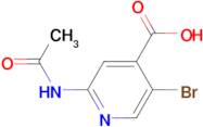 2-Acetamido-5-bromoisonicotinic acid