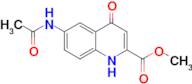 Methyl 6-acetamido-4-hydroxyquinoline-2-carboxylate