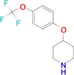 4-(4-(Trifluoromethoxy)phenoxy)piperidine
