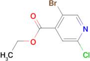 Ethyl 5-bromo-2-chloroisonicotinate