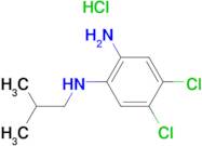 4,5-Dichloro-N1-isobutylbenzene-1,2-diaminehydrochloride