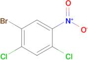 1-Bromo-2,4-dichloro-5-nitrobenzene