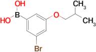 (3-Bromo-5-isobutoxyphenyl)boronic acid