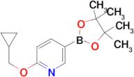 2-(Cyclopropylmethoxy)-5-(4,4,5,5-tetramethyl-1,3,2-dioxaborolan-2-yl)pyridine