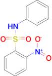 2-Nitro-N-phenylbenzenesulfonamide