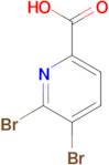 5,6-Dibromopicolinic acid