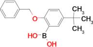 (2-(Benzyloxy)-5-(tert-butyl)phenyl)boronic acid