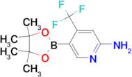 5-(4,4,5,5-Tetramethyl-1,3,2-dioxaborolan-2-yl)-4-(trifluoromethyl)pyridin-2-amine