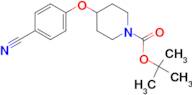 tert-Butyl 4-(4-cyanophenoxy)piperidine-1-carboxylate