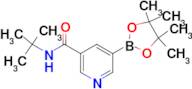 N-(tert-Butyl)-5-(4,4,5,5-tetramethyl-1,3,2-dioxaborolan-2-yl)nicotinamide