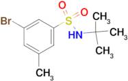 3-Bromo-N-(tert-butyl)-5-methylbenzenesulfonamide