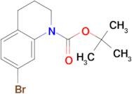 tert-Butyl 7-bromo-3,4-dihydroquinoline-1(2H)-carboxylate