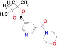 Morpholino(5-(4,4,5,5-tetramethyl-1,3,2-dioxaborolan-2-yl)pyridin-3-yl)methanone